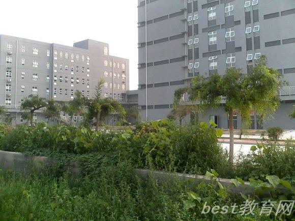 保定幼儿师范高等专科学校