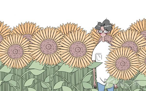 2018年湖南高考总分及各科分数 分值是多少