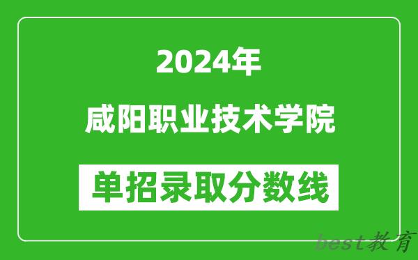 2024年咸阳职业技术学院单招录取分数线