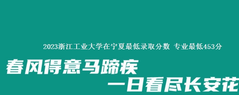 2023浙江工业大学在宁夏最低录取分数 专业最低453分