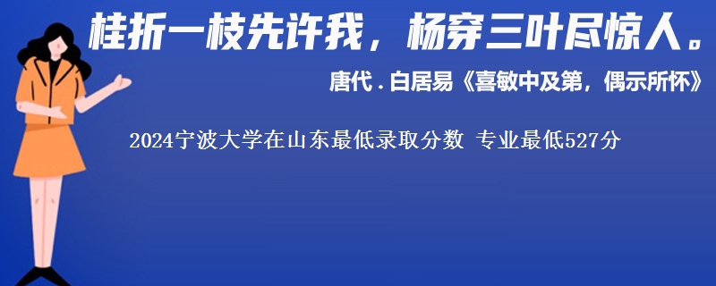 2024宁波大学在山东最低录取分数 专业最低527分