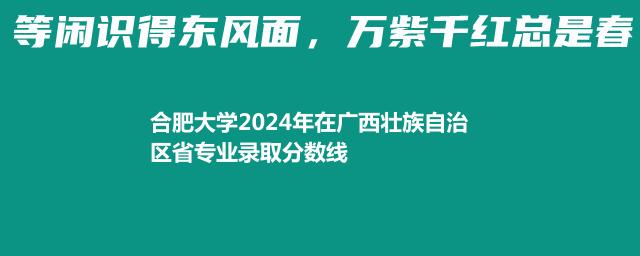 合肥大学2024年在广西壮族自治区省专业录取分数线