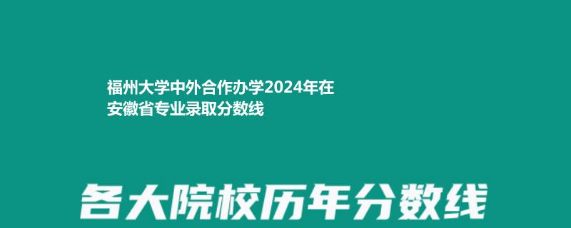 福州大学中外合作办学2024年在安徽省专业录取分数线