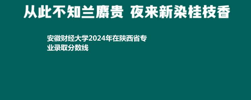 安徽财经大学2024年在陕西省专业录取分数线