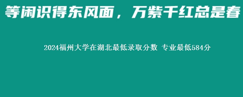 2024福州大学在湖北最低录取分数 专业最低584分