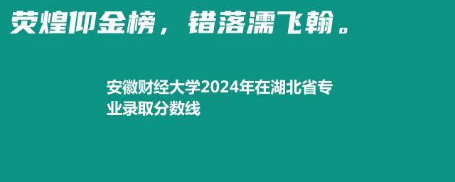 安徽财经大学2024年在湖北省专业录取分数线