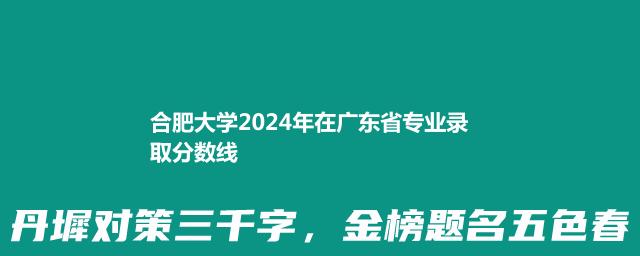 合肥大学2024年在广东省专业录取分数线