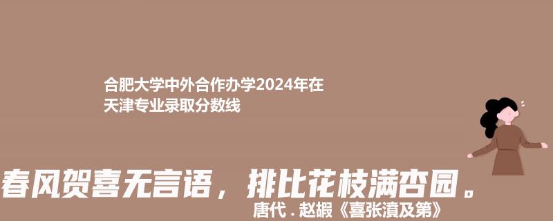 合肥大学中外合作办学2024年在天津专业录取分数线