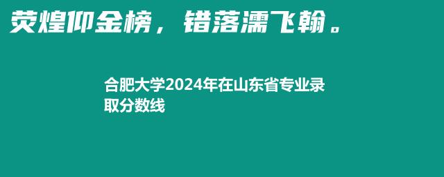 合肥大学2024年在山东省专业录取分数线