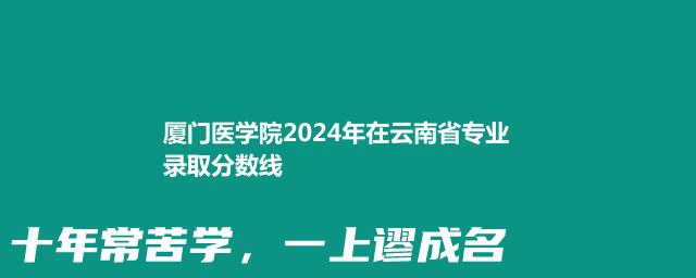 厦门医学院2024年在云南省专业录取分数线