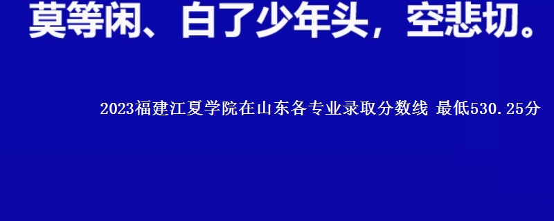 2023福建江夏学院在山东各专业录取分数线 最低530.25分