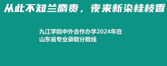 九江学院中外合作办学2024年在山东省专业录取分数线