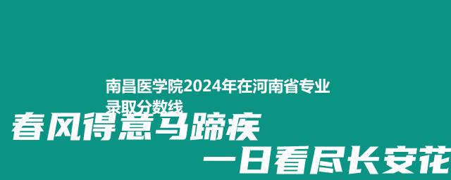 南昌医学院2024年在河南省专业录取分数线