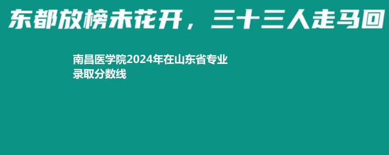南昌医学院2024年在山东省专业录取分数线