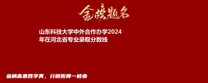 山东科技大学中外合作办学2024年在河北省专业录取分数线
