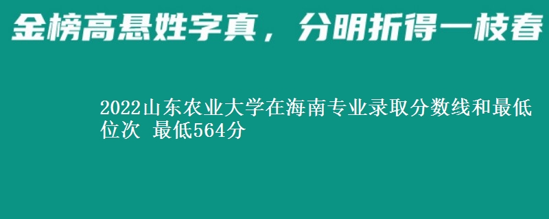 2022山东农业大学在海南专业录取分数线和最低位次 最低564分