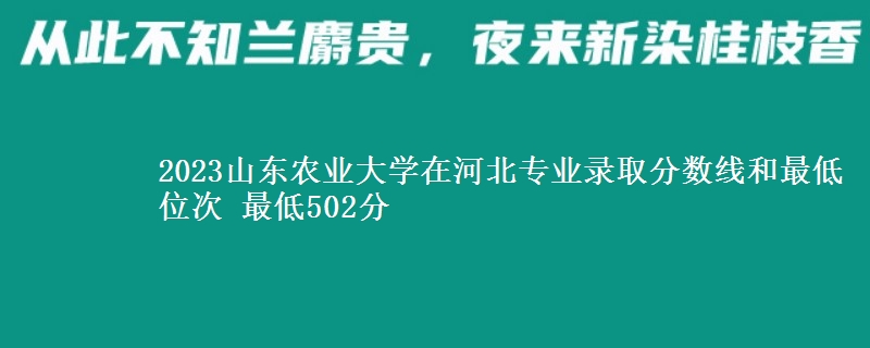 2023山东农业大学在河北专业录取分数线和最低位次 最低502分