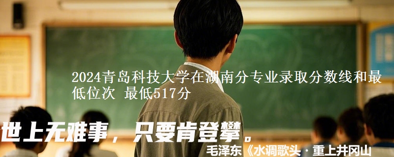 2024青岛科技大学在湖南分专业录取分数线和最低位次 最低517分