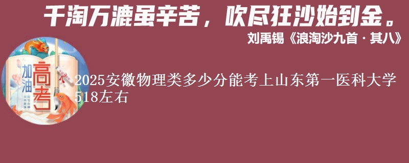 2025安徽物理类多少分能考上山东第一医科大学 518左右