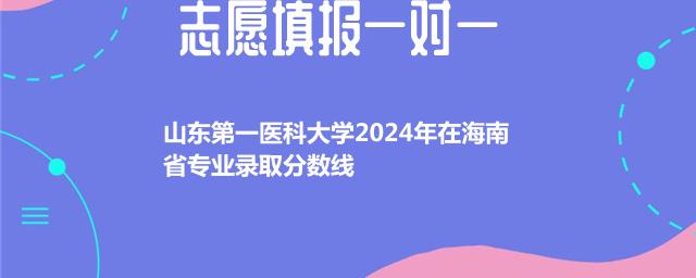山东第一医科大学2024年在海南省专业录取分数线