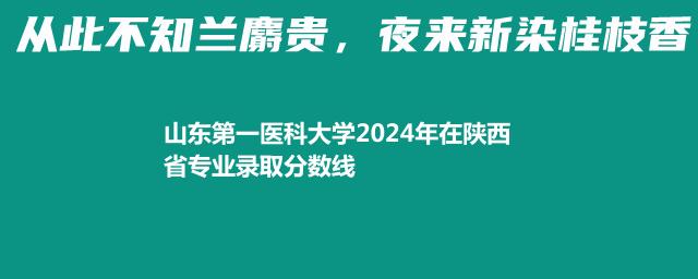 山东第一医科大学2024年在陕西省专业录取分数线