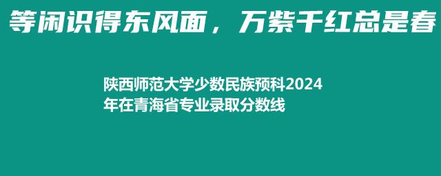 陕西师范大学少数民族预科2024年在青海省专业录取分数线