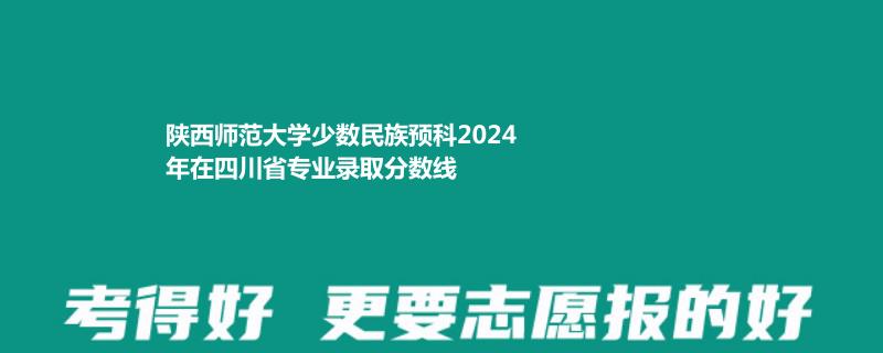 陕西师范大学少数民族预科2024年在四川省专业录取分数线