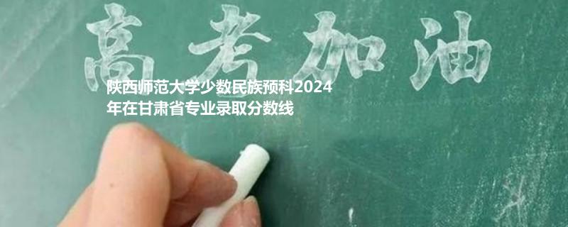 陕西师范大学少数民族预科2024年在甘肃省专业录取分数线