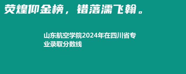 山东航空学院2024年在四川省专业录取分数线