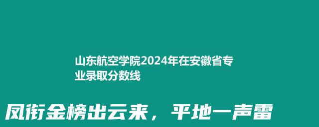 山东航空学院2024年在安徽省专业录取分数线