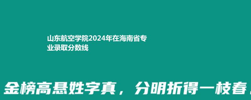 山东航空学院2024年在海南省专业录取分数线