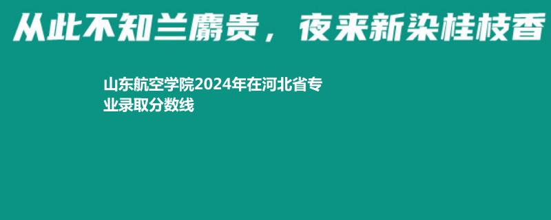 山东航空学院2024年在河北省专业录取分数线