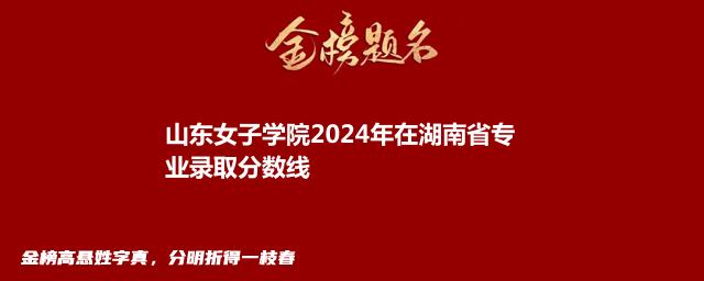 山东女子学院2024年在湖南省专业录取分数线