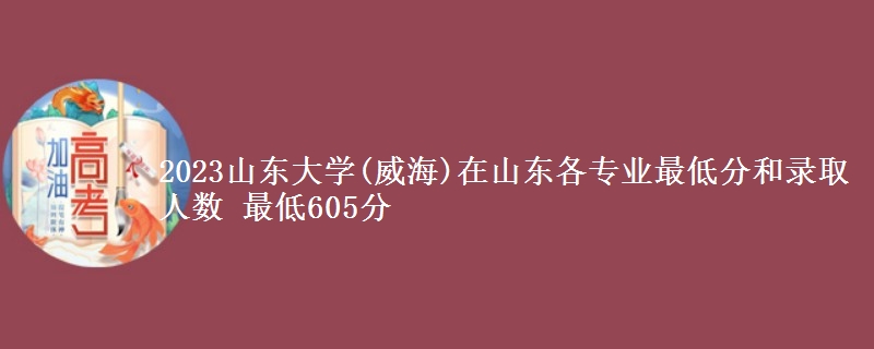 2023山东大学(威海)在山东各专业最低分和录取人数 最低605分