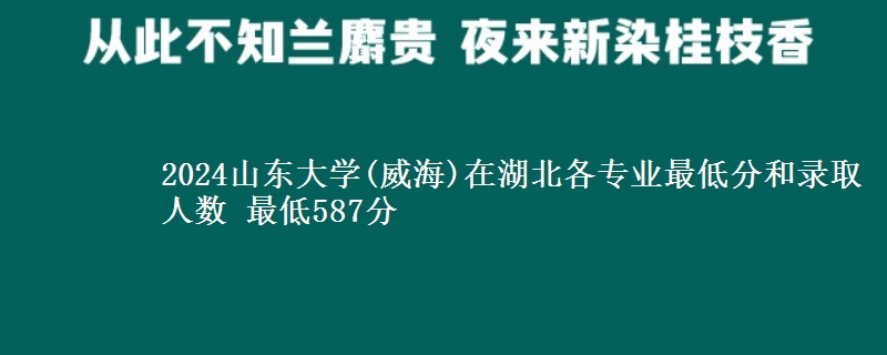 2024山东大学(威海)在湖北各专业最低分和录取人数 最低587分
