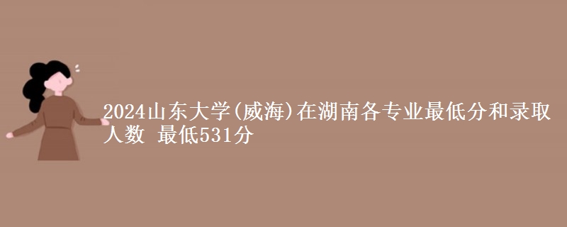 2024山东大学(威海)在湖南各专业最低分和录取人数 最低531分