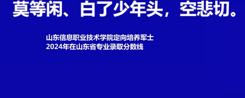 山东信息职业技术学院定向培养军士2024年在山东省专业录取分数线