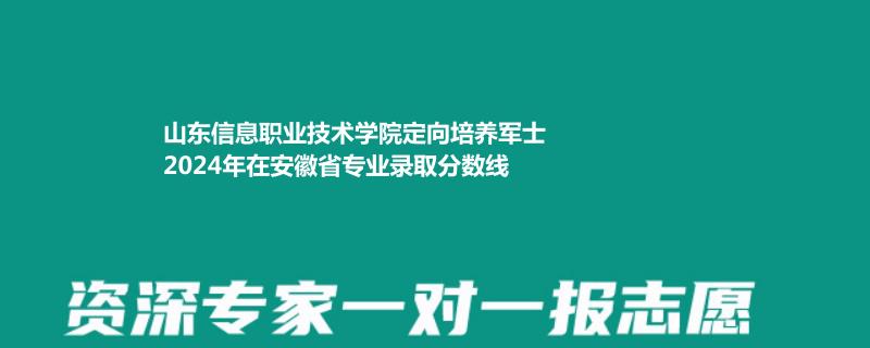 山东信息职业技术学院定向培养军士2024年在安徽省专业录取分数线