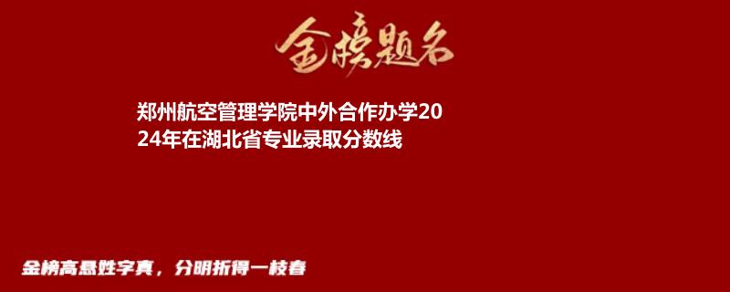 郑州航空管理学院中外合作办学2024年在湖北省专业录取分数线