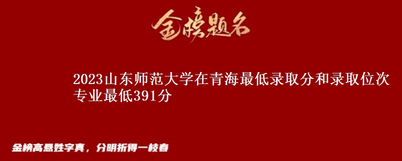 2023山东师范大学在青海最低录取分和录取位次 专业最低391分