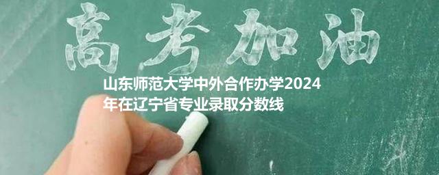 山东师范大学中外合作办学2024年在辽宁省专业录取分数线