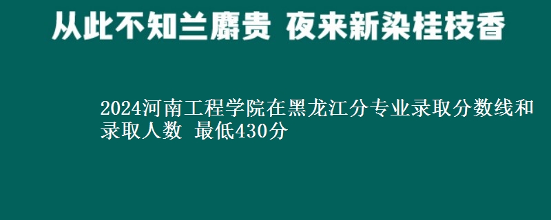 2024河南工程学院在黑龙江分专业录取分数线和录取人数 最低430分