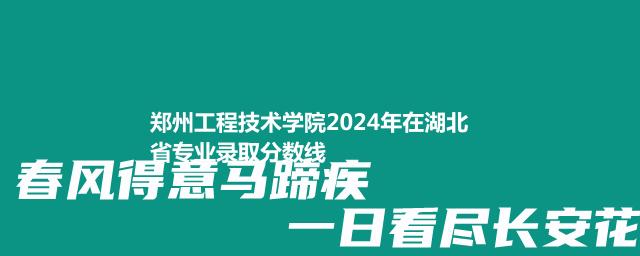 郑州工程技术学院2024年在湖北省专业录取分数线