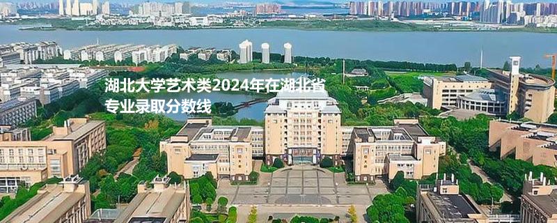 湖北大学艺术类2024年在湖北省专业录取分数线