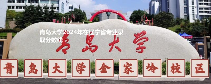 青岛大学2024年在辽宁省专业录取分数线