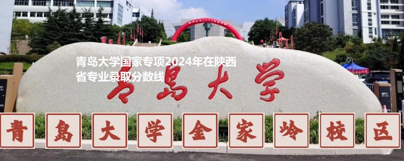 青岛大学国家专项2024年在陕西省专业录取分数线