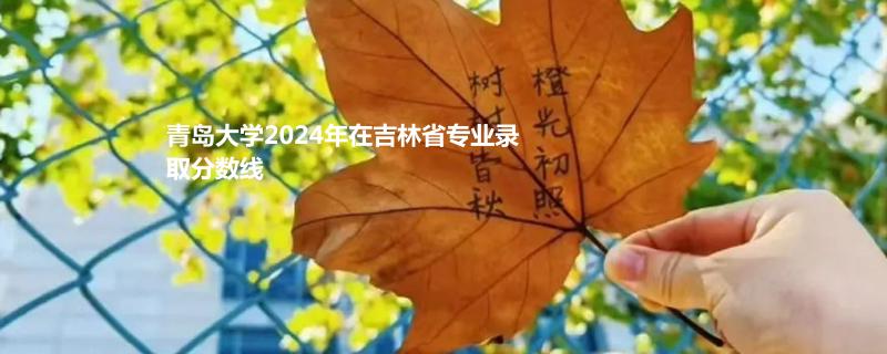 青岛大学2024年在吉林省专业录取分数线