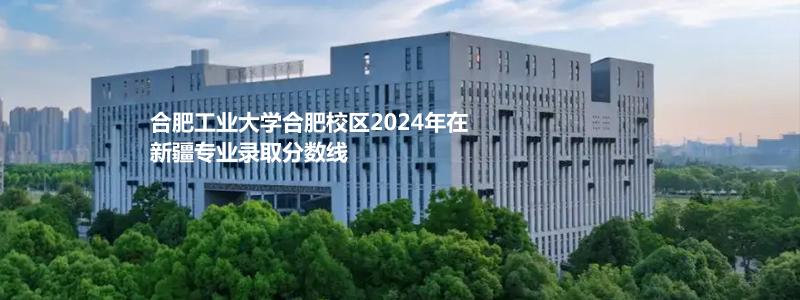 合肥工业大学合肥校区2024年在新疆专业录取分数线