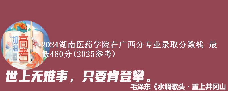 2024湖南医药学院在广西分专业录取分数线 最低480分(2025参考)