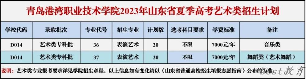 青岛港湾职业技术学院艺术类专业一览表